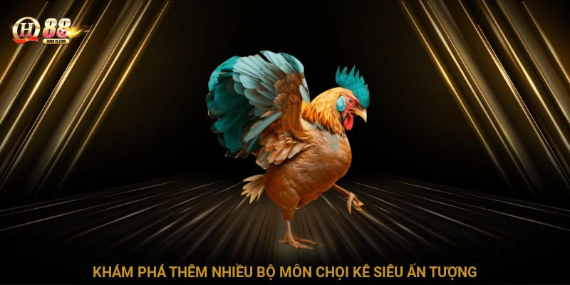 Khó bỏ lỡ những hình thức chọi kê đặc sắc