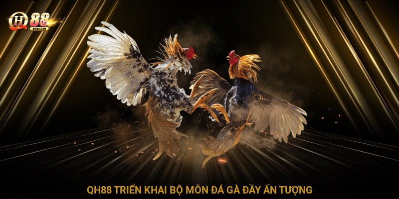 QH88 triển khai bộ môn đá gà đầy ấn tượng