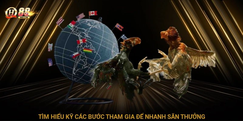 Khám phá thêm nhiều bộ môn chọi kê siêu ấn tượng