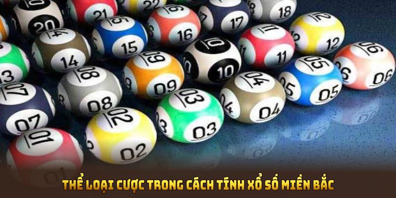 Thể loại cược trong cách tính xổ số miền Bắc cho bạn lợi thế
