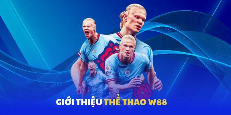 Truy cập trải nghiệm thể thao WW88 hấp dẫn
